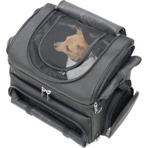 pet carrier synthetic leather black 2