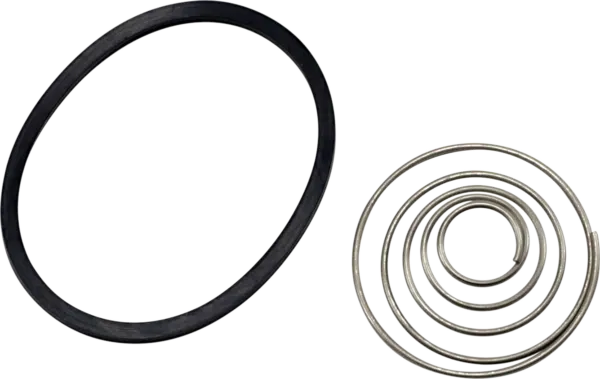 Replacement oil ring and spring set