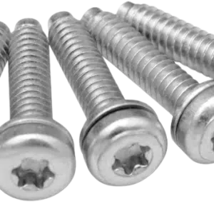 SCREW EFI MNT 1081A  5PK removebg preview