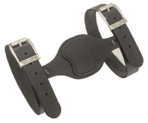 standard rgba removebg preview