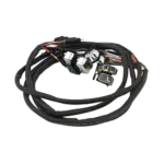 07 13 FLT Touring switch and wiring kit Cruise and Radio chrome