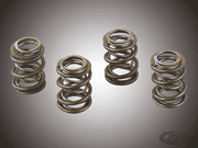 Valve Springs & Parts