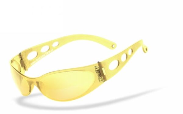 Goggle sunglasses pro-street fits: > all bikers