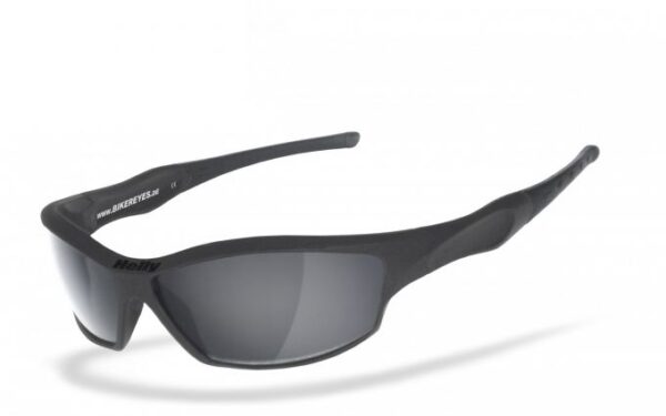 Goggle sunglasses fender - smoke fits: > all bikers