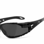 Goggle Sunglasses moab 5 - smoke Fits: > all Bikers