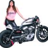 Dub performance tail for sportster cafe racer models 2