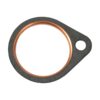 Paper backed exhaust gaskets with firering pack of 10 pack 10