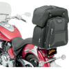 Ftb3600 sport sissy bar and combo bag 2