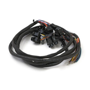 Handlebar switch & wiring kit Cruise. LED  Fits: > 07-13 FLT/Touring