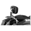 Multi purpose driver or passenger backrest chrome