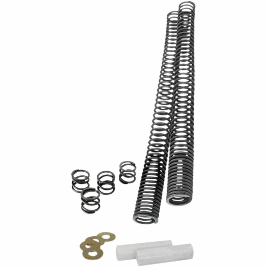 fork lowering kit 15-17 Indian Scout