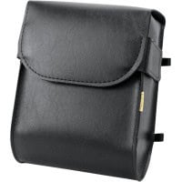 sissybar bags RAPTOR