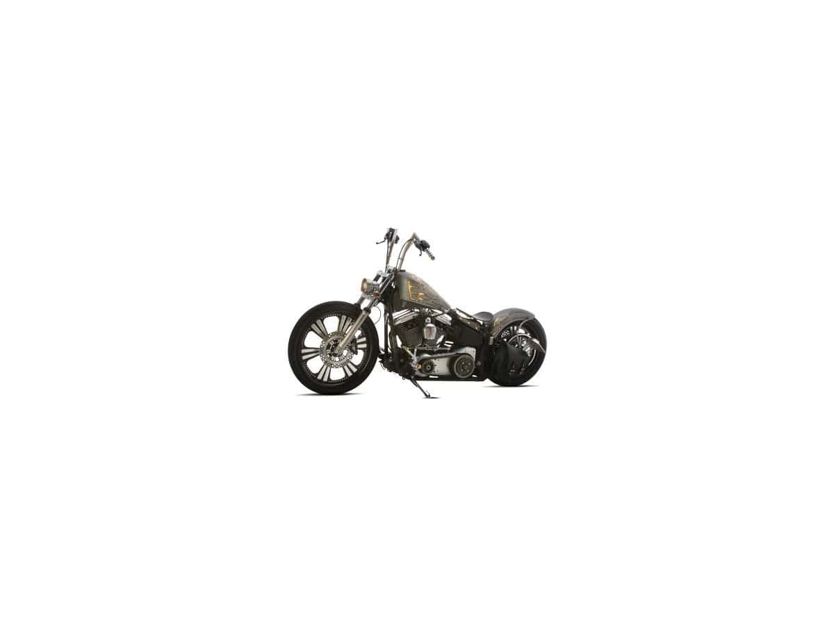 Lucky f*cker gas tank, 00-06 softail 1 Cce