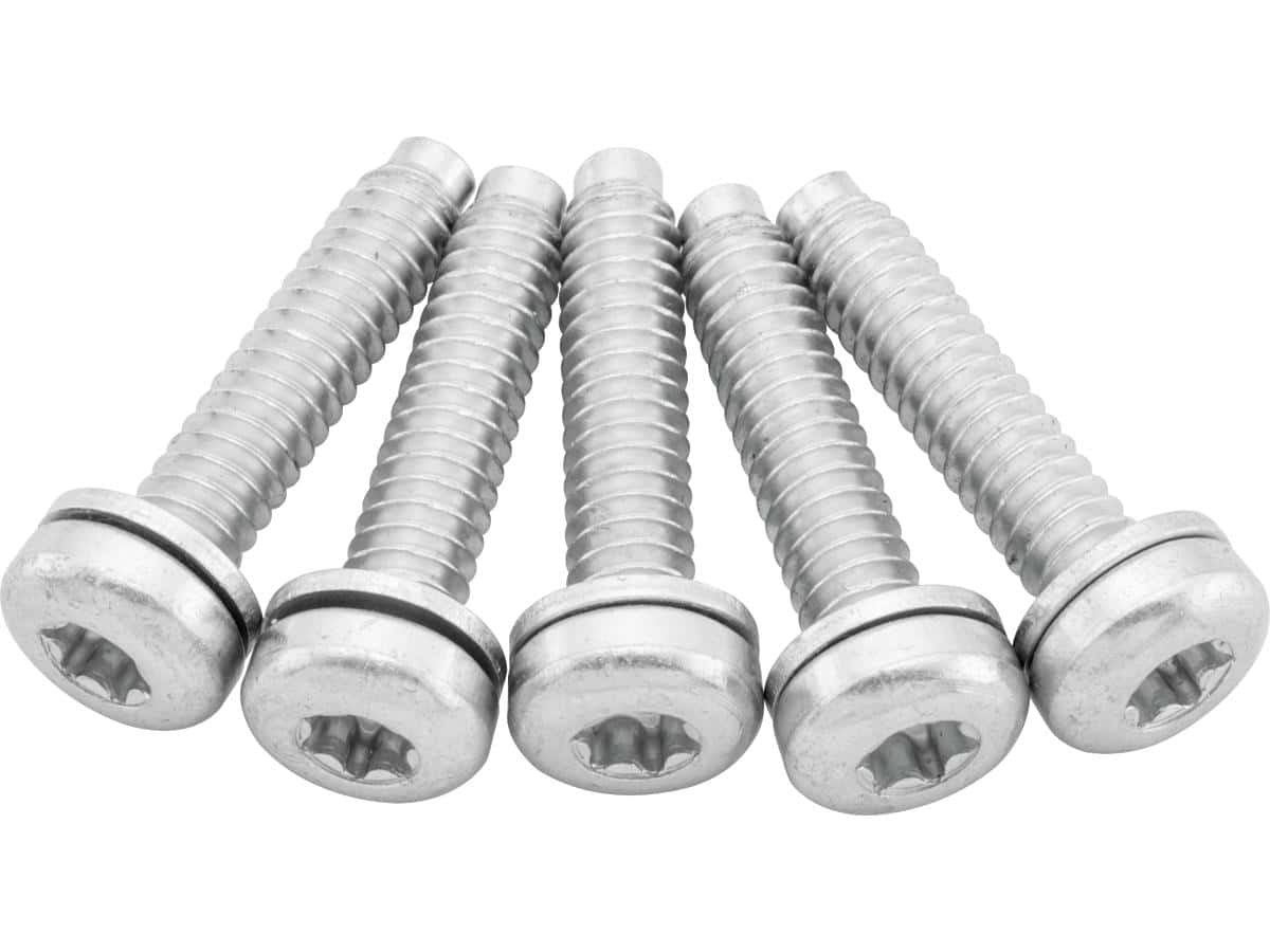 Oem replacement fuel pump screws for sportster models, 07-20 sportster 1 Cce