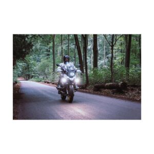 Dayron Daytime Running and Position Light Classic (warm white)