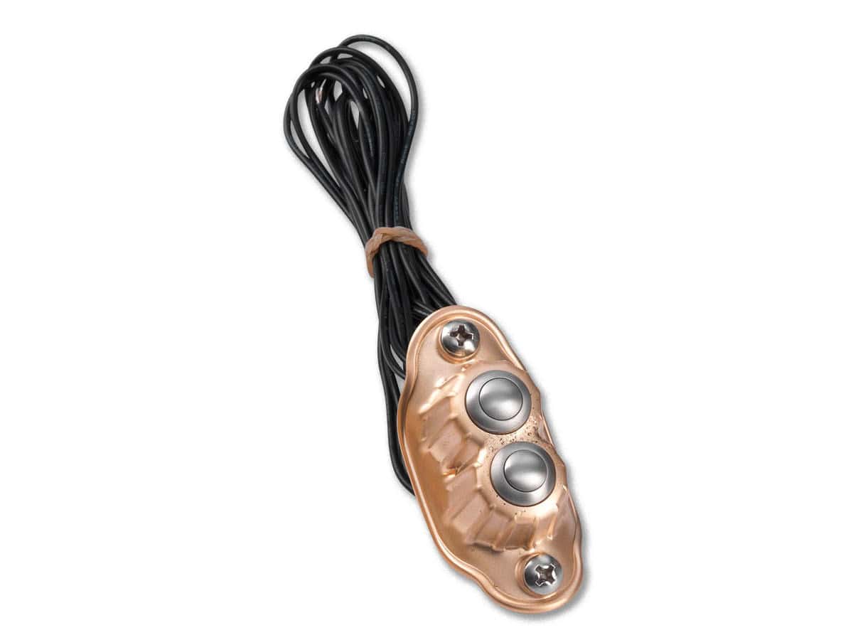 Deluxe switch housing dual button brass satin, 1 Kustom tech