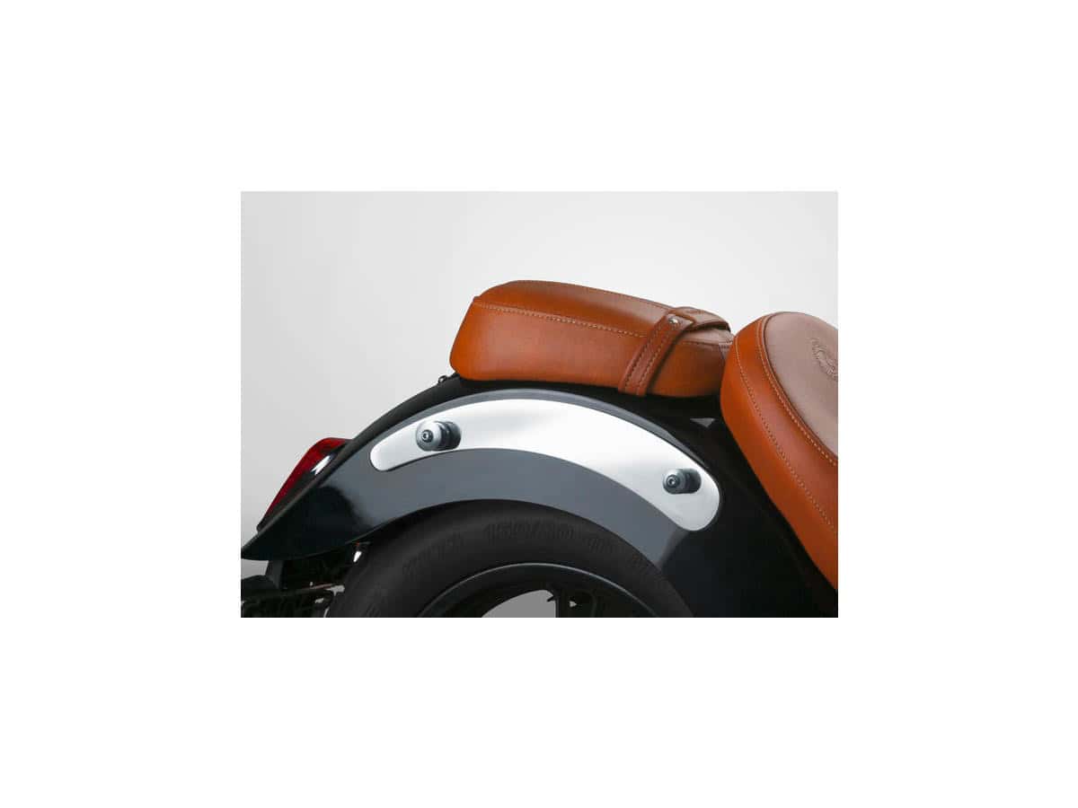 National-cycle-paladin-quickset-mount-kit-chrome-2 National cycle paladin quickset mount kit chrome 2