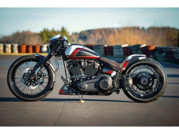 With Taillight and Turn Signals Raw