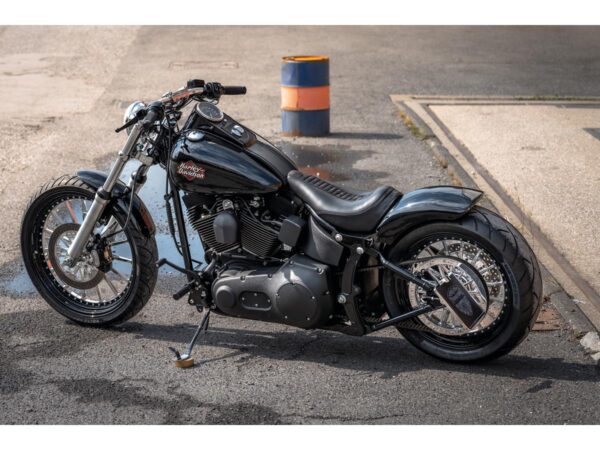 With Taillight and Atto Integral Turn Signals Raw