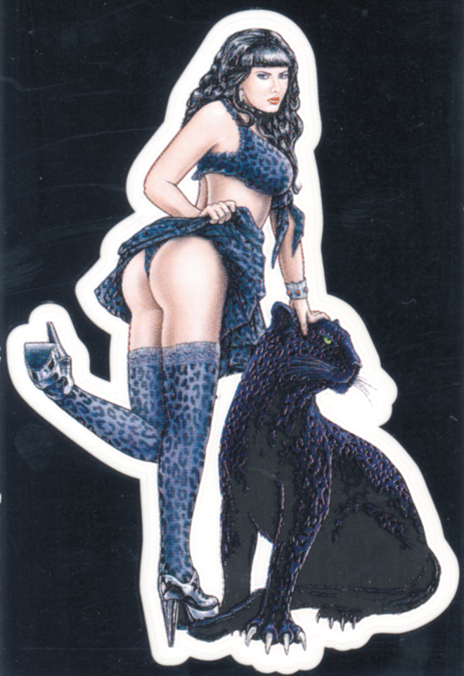 Mini Decal Dangerous Pussy