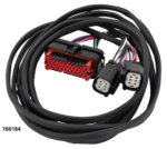 Rear speaker control wire harness 11-13