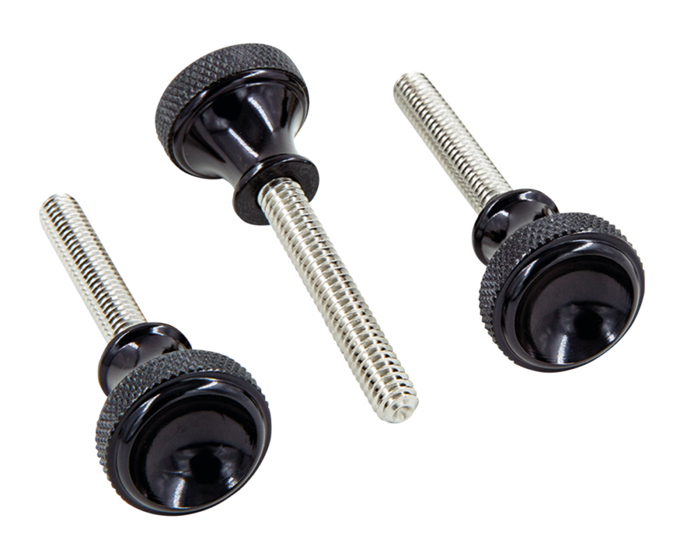 P16 SPORTSTER SIDE COVER SCREWS Blk