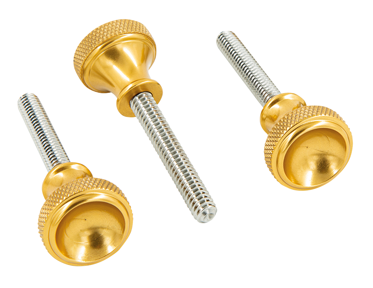 P16 SPORTSTER SIDE COVER SCREWS Gold