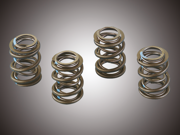 Valve Springs & Parts