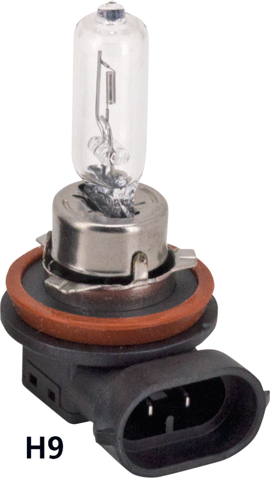 Zodiac (Genuine Zodiac Products)