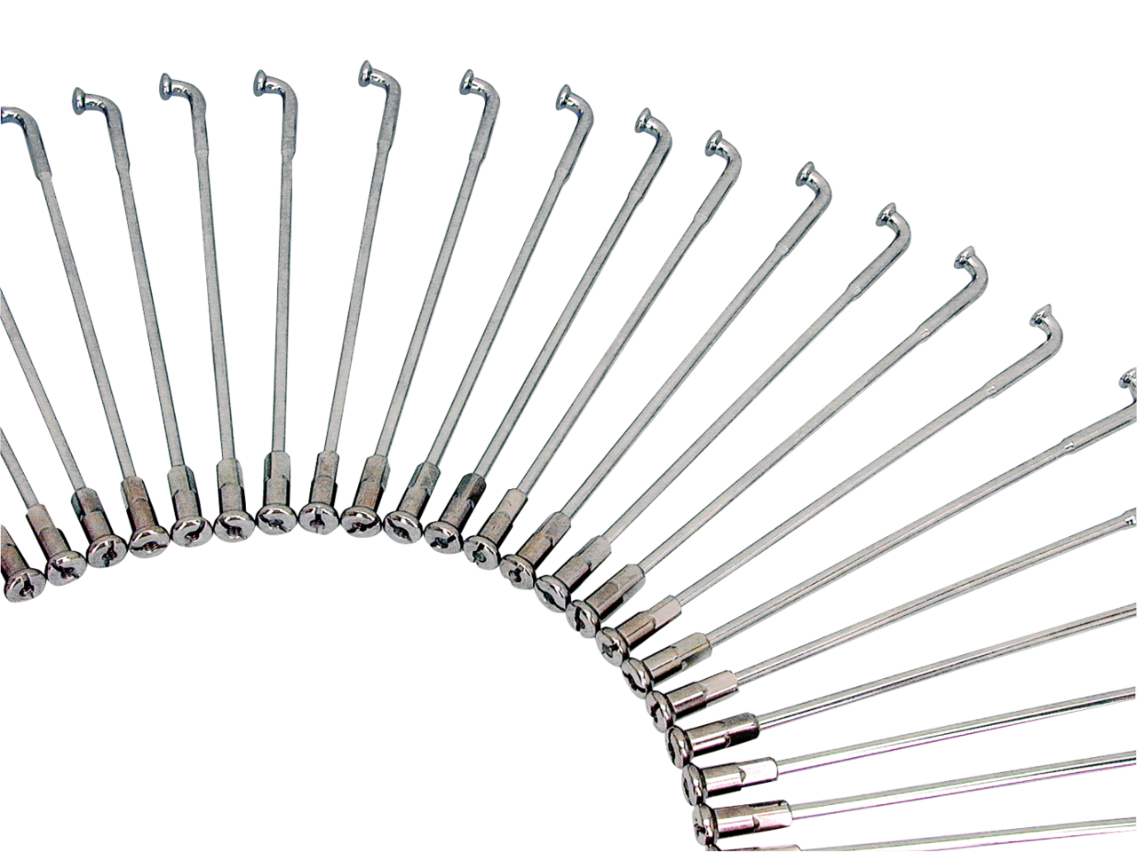 Zodiac (Genuine Zodiac Products)