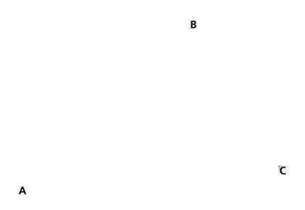 Aero 300 Midi gas cap N/V