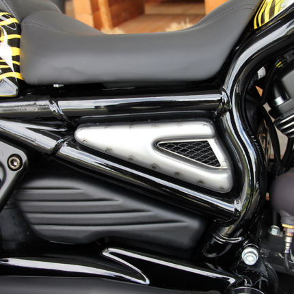 Gas Tank Cover GT Raw VRSC07-17