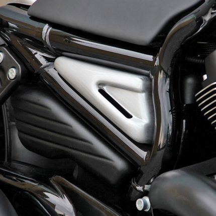 Gas Tank Cover Racing Raw VRSC07-17