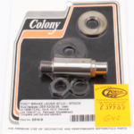Colony