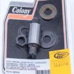 Colony