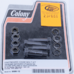 Colony