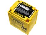 Quadflex AGM Battery AGM