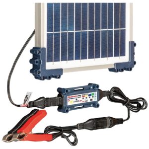 Solar Duo 10W Battery Charger