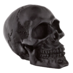 Zodiac (Genuine Zodiac Products)