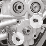 Zodiac (Genuine Zodiac Products)