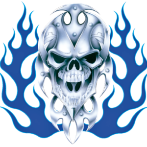 BIO SKULL BLUE FLAME 11