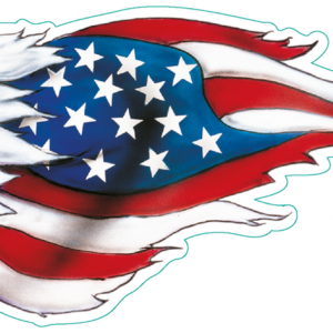 USA eagle center fenderdecal 4.6"x11.4"