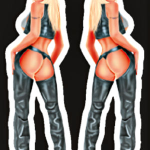 HARLEY BABE - MINI DECAL3"X4