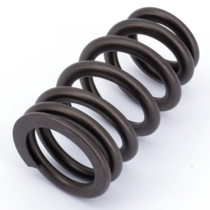 KPMI valve spring f/zpn756030 & 756031