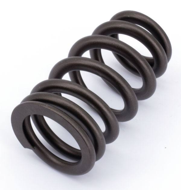 KPMI valve spring f/zpn756030 & 756031